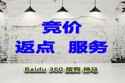 SEM竞价入门指南，经典案例分享